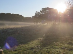 IMG_0838