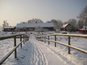 IMG_8267