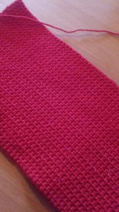 20161125_141113_resized
