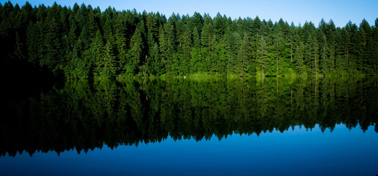 ReforeStatia Blog III