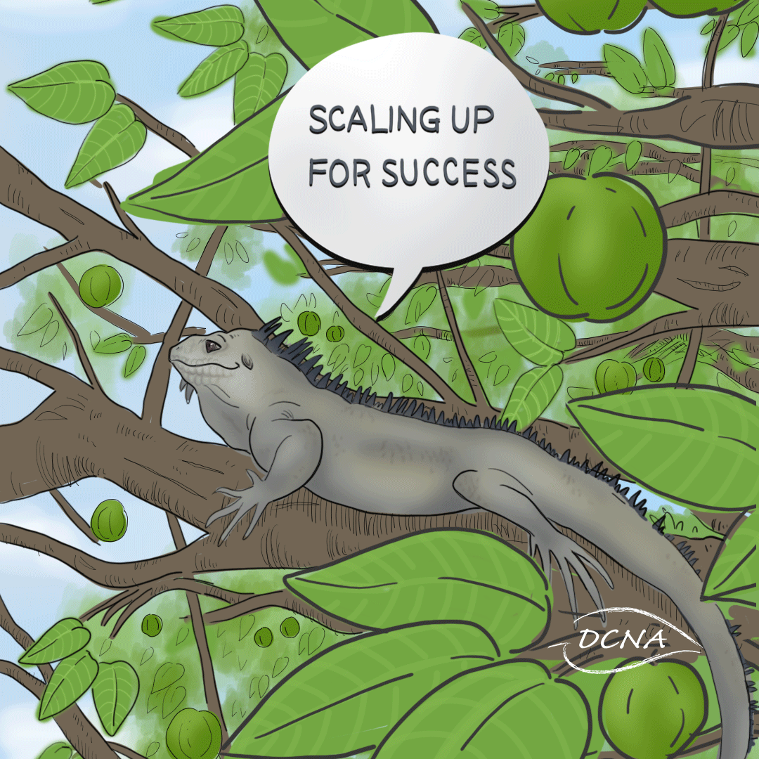 Guana Guardians: Safeguarding Iguanas for a Vibrant Future 
