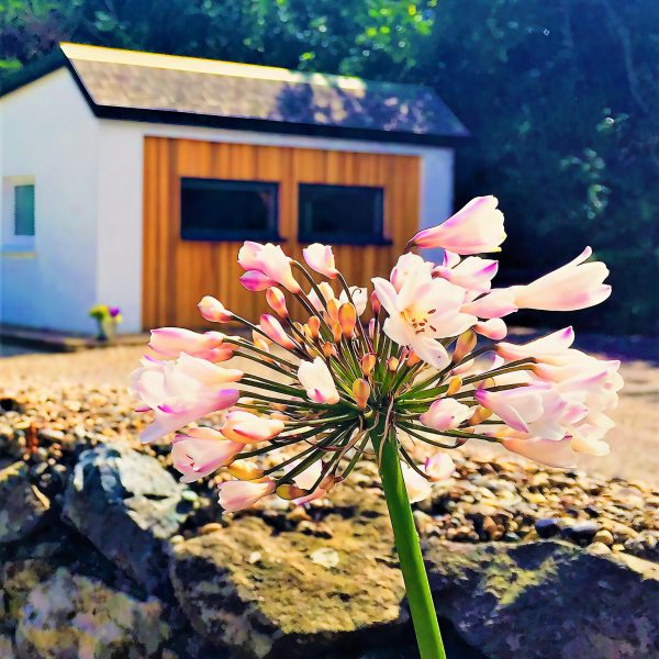 St Awaries Studio