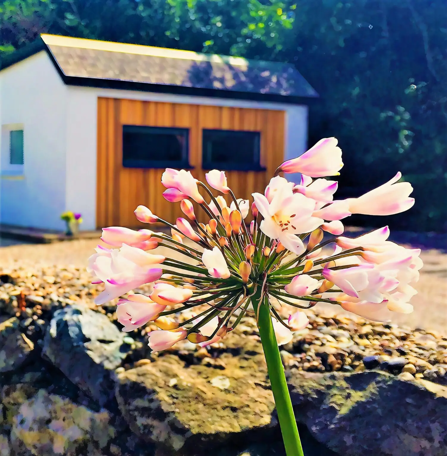 St Awaries Boutique Studio
