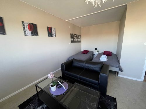 ﻿﻿﻿﻿Serviced apartment, business apartent, business accommodation