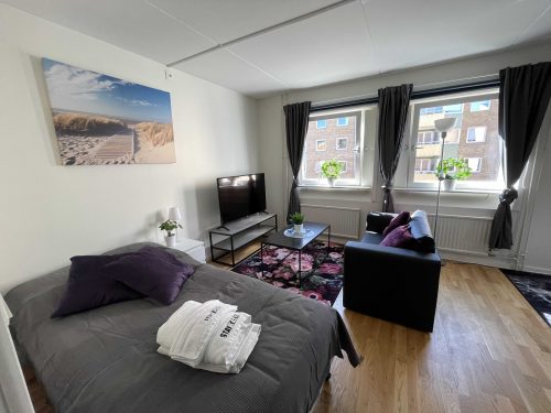 Apartamento con servicios, alojamiento de negocios, larga estancia, estancia fácil