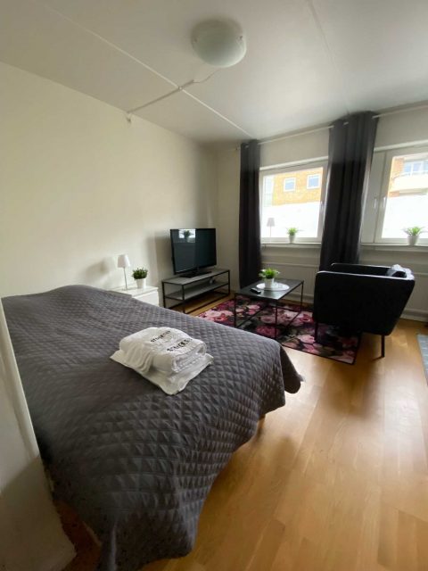 Apartamento con servicios, alojamiento de negocios, larga estancia, estancia fácil