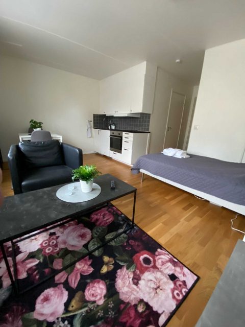 Apartamento con servicios, alojamiento de negocios, larga estancia, estancia fácil