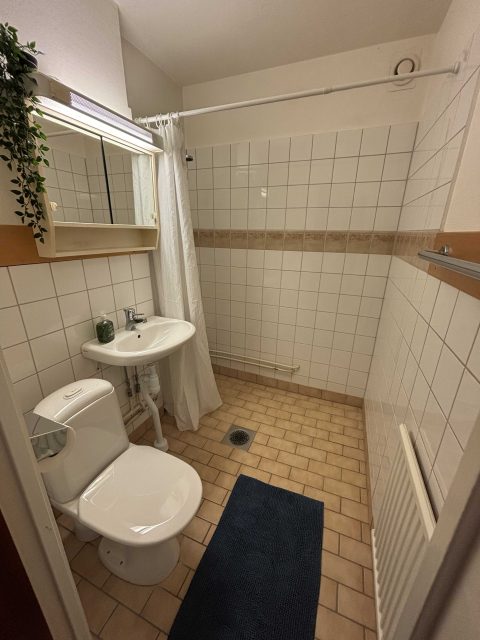 Servicelägenhet, företagslägenhet, affärsboende