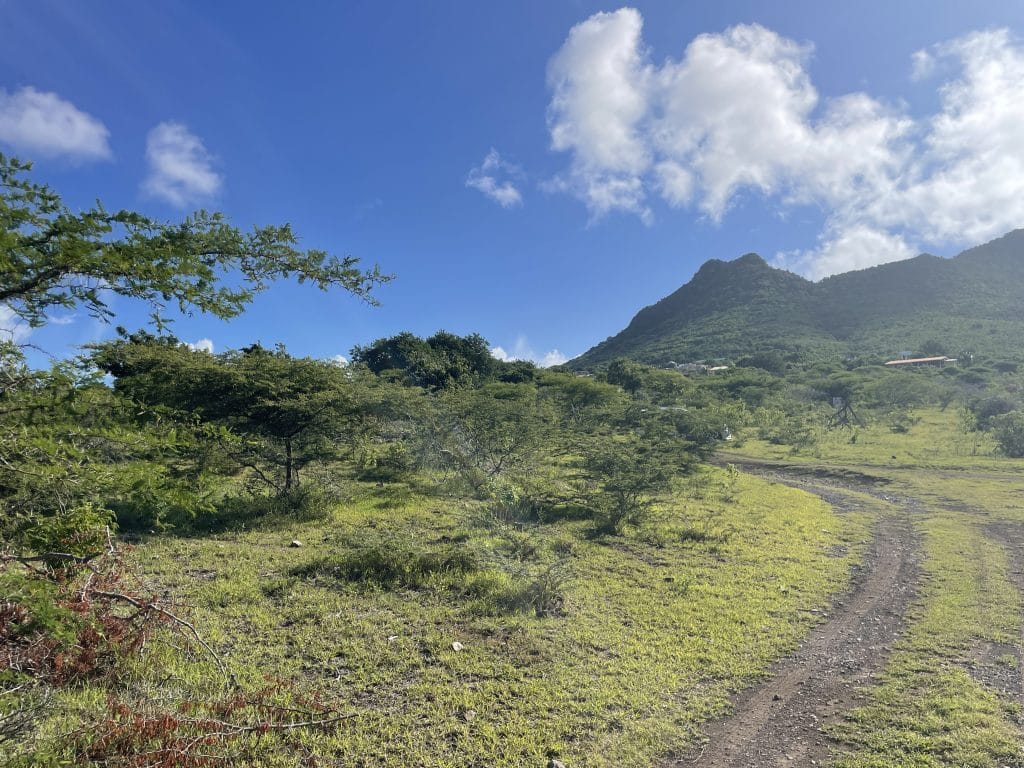 For sale Lot in Union Sint Eustatius 1 Stay Eustatius