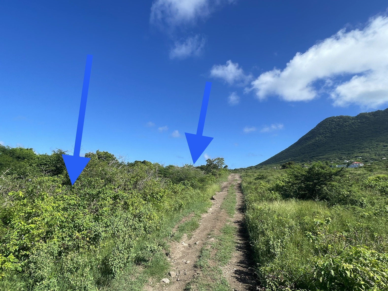 Properties for sale Stay Eustatius