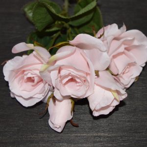 Rosen buket rosa