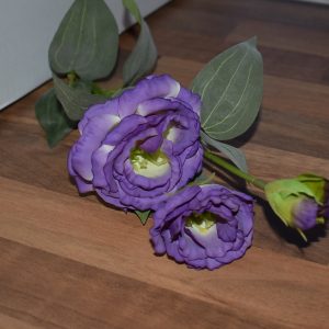Lisianthus
