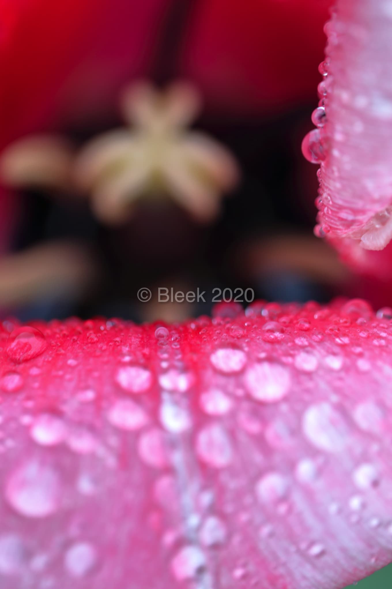 7Y1A5643ns2k_wm_2020