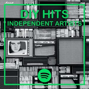 DIY Independent-01-01