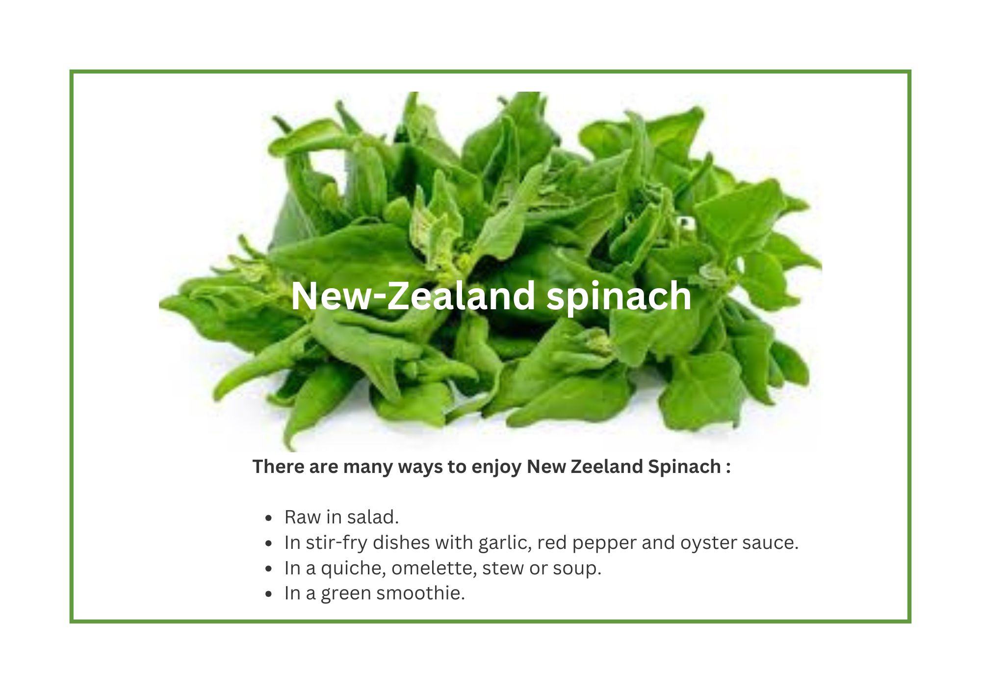 NZ spinach