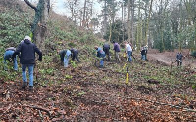 Natuurnieuws Heemstede: 25 januari 2025: Uitzichtheuvel Groenendaal en meer