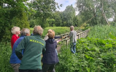 Natuurnieuws Heemstede: 14 juni 2026: Kruisbessentijd