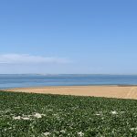 White cliffs of Dover