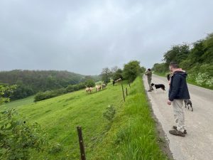 Wandeling (Dourbes)