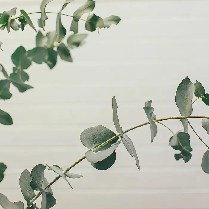 Wellness Allowance Massage in Stockholm Invest in Your Health