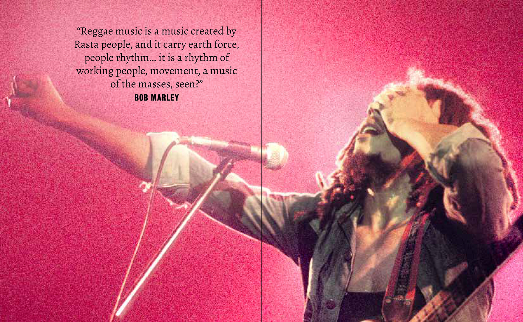 BABYLON BY BUS: Bob Marley & The Wailers Live and Up Close - Image 2