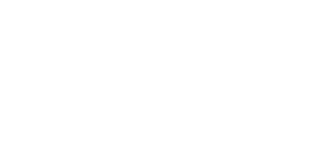 Partners_Netflix
