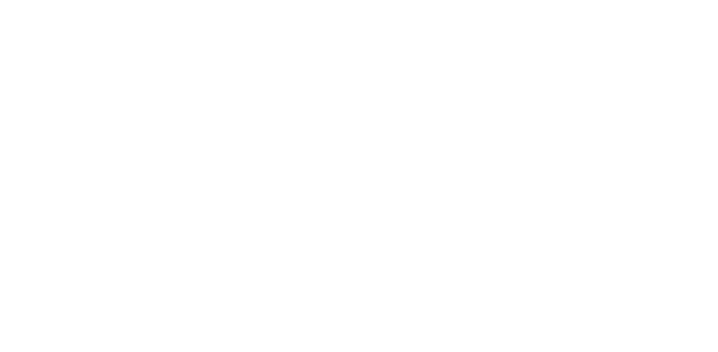 Partners_Virgin