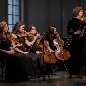 Strijkinstrumenten