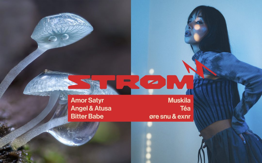 Strøm Festival 2023: Down the Rabbit Hole with ALICE