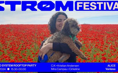 An all day rooftop party with bouncy basslines on the Strøm Sound System
