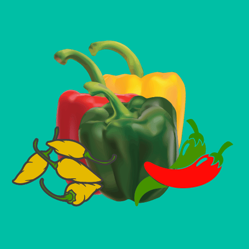 Choosing the Right Pepper Variety