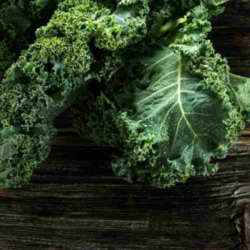 Top Vegetables that Grow Well in the Shade - kale