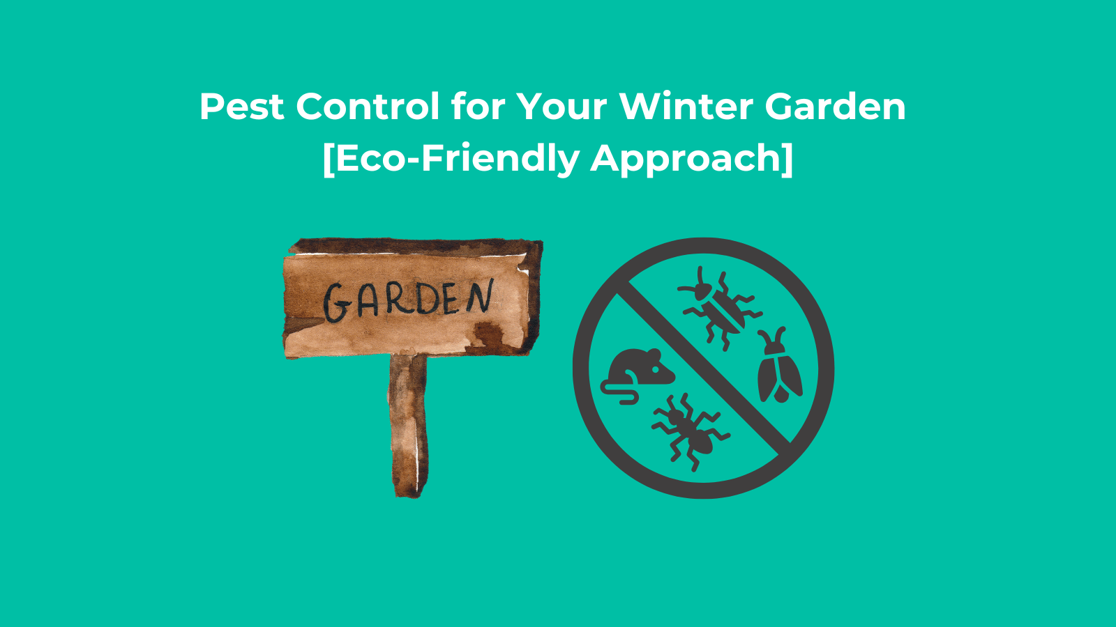 Pest Control for Your Winter Garden [Eco-Friendly Approach]