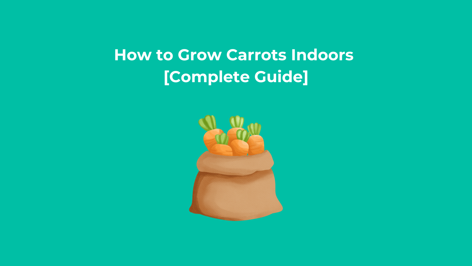 How to Grow Carrots Indoors [Complete Guide]