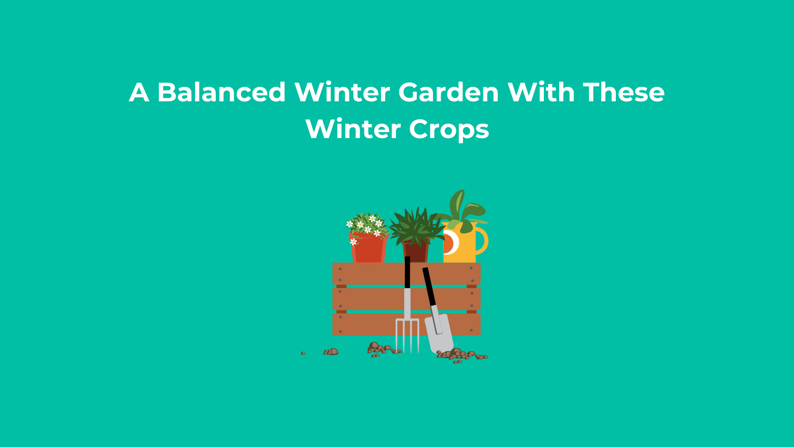 A Balanced Winter Garden With These Winter Crops