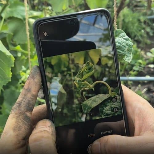 AI Gardening App – Start for Free AI Gardening App - Start for Free