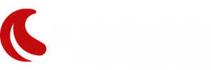 sustainable building services red logo