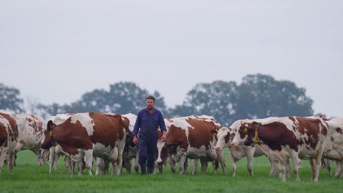 Stichting Twickel | Twickelkaas