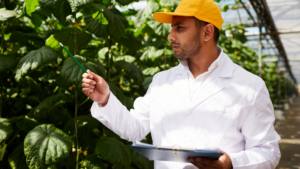 sistema de gestão do agronegócio