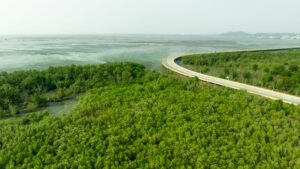 A nova Lei nº 14.590/2023 e o Fomento aos Projetos de Crédito de Carbono