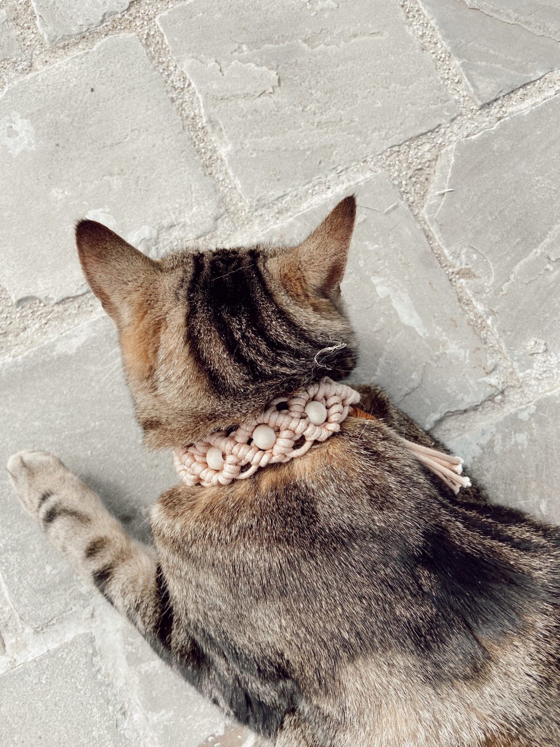 Leash me up katten halsband personaliseerbaar Studio Leash l