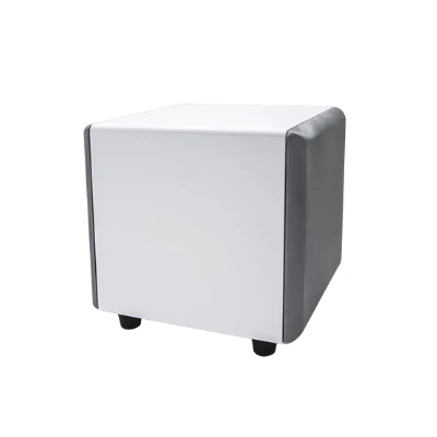 Studiosound.dk Subwoofer Earthquake MiniMe P8W v2