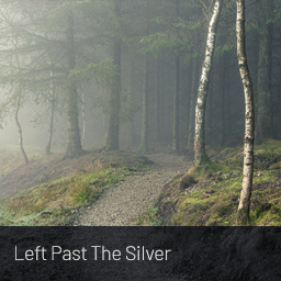 Image thumbnail from landscape photography print: Left Past The Silver