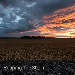Image thumbnail from landscape photography print: Reaping the Storm
