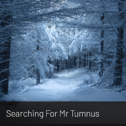 Product image for Searching For Mr Tumnus