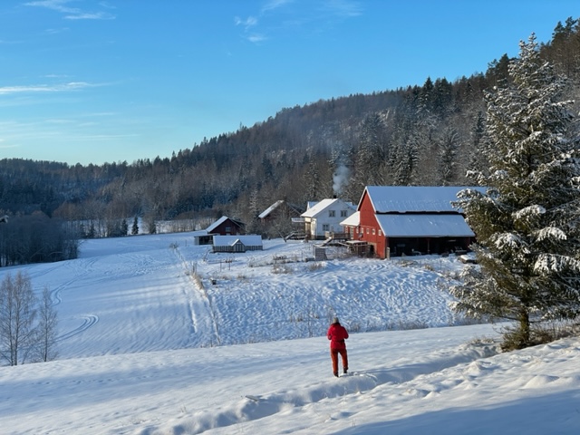 ØSG vinterbilde