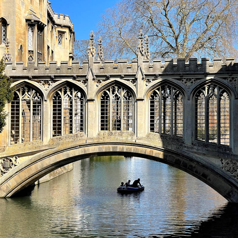 Oxford and Cambridge Tutors Online Summer School University Admissions