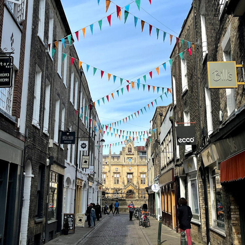 Oxford and Cambridge Tutors Online Summer School University Admissions