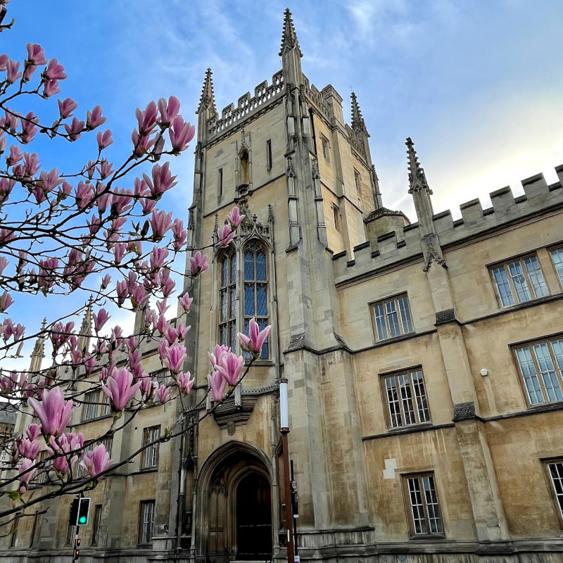 Online Summer School with Oxford and Cambridge Tutors