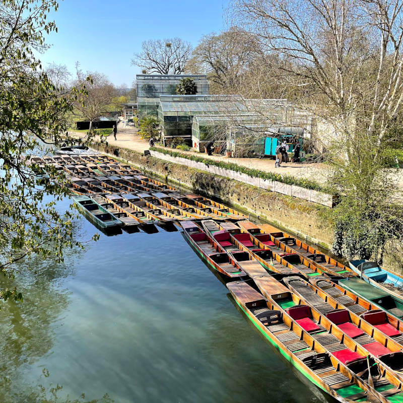 Oxford and Cambridge Tutors Online Summer School University Admissions